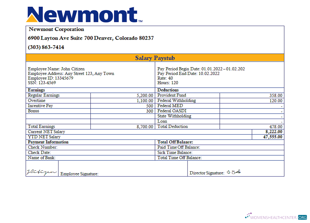 Download USA Newmont Corporation mining company pay stub Photoshop template